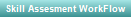 Skill Assesment WorkFlow